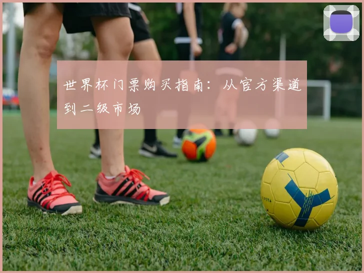 世界杯门票购买指南：从官方渠道到二级市场