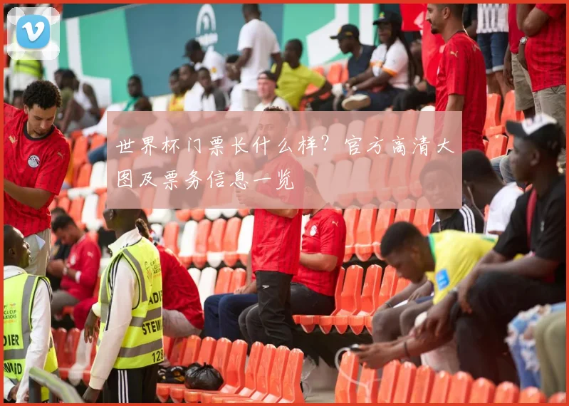 世界杯门票长什么样？官方高清大图及票务信息一览