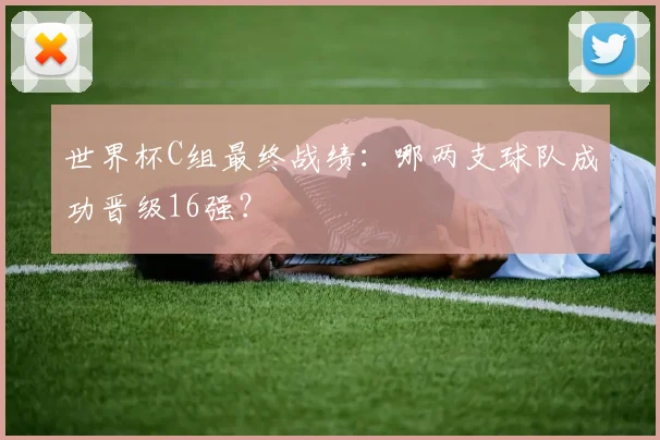 世界杯C组最终战绩：哪两支球队成功晋级16强？