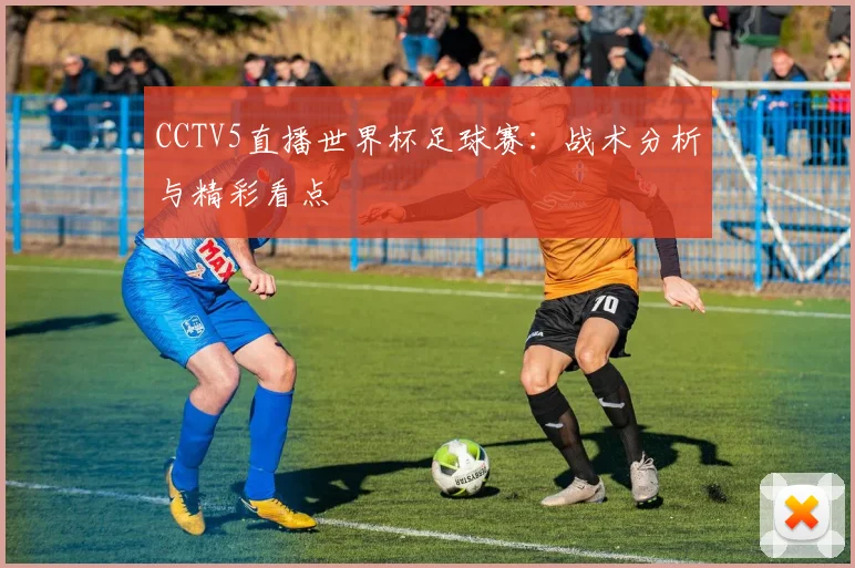 CCTV5直播世界杯足球赛：战术分析与精彩看点