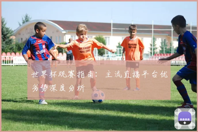 世界杯观赛指南:主流直播平台优劣势深度分析